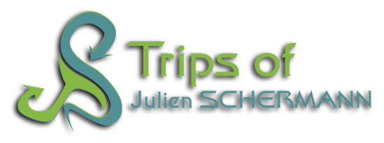 JS Trip - all information about my trip