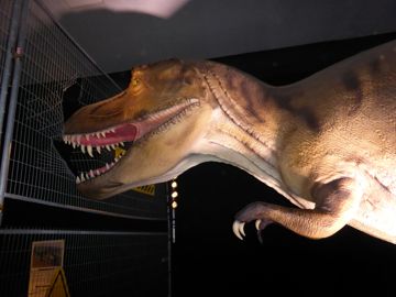 T-Rex want to go away!