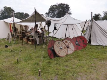 Viking's village