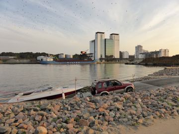 New area harbor
