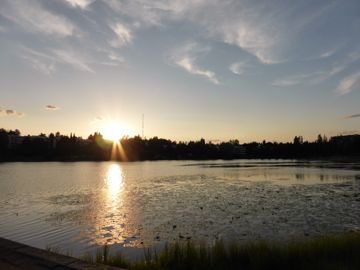 Park with dusk