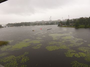 View from the library