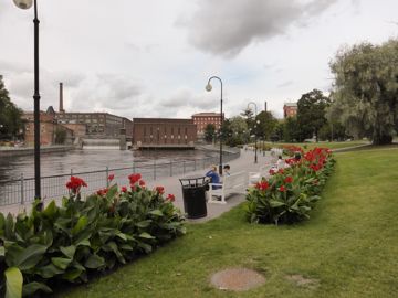 Park with the river