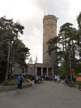 Tower in the forest