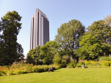 Big garden