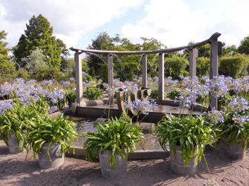 Nice garden