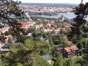 View from the forest