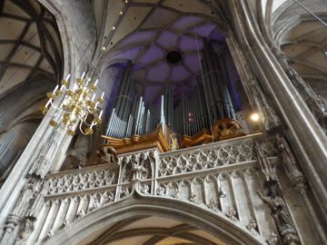 Organ of the cathedral
