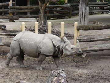 SchÃ¶nbrunn zoo