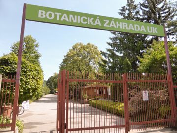 Botanika