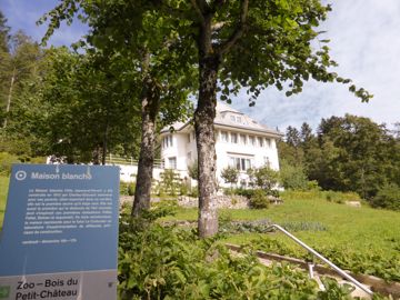 White house