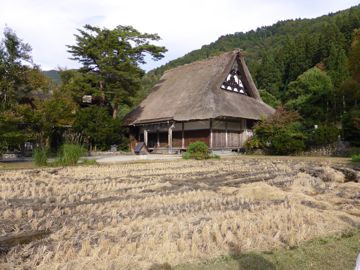 field and typical house