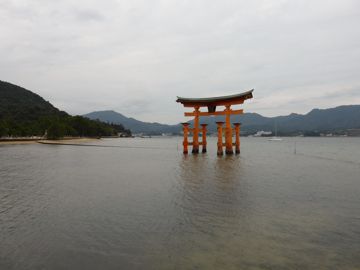 Main Tori