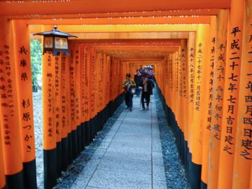 Tori in Fushimi Inari-taisha
