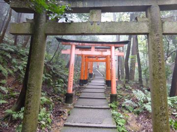 Fushimi Inari-taisha walk