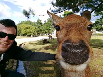 Selfie with deer. He rocks! :D