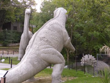 Dino in the zoo