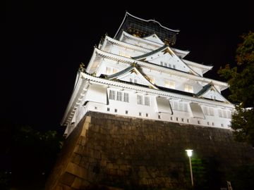 Castle garden by night