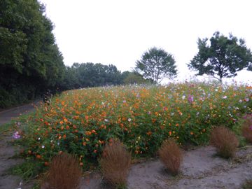 Expo Commemoration Park