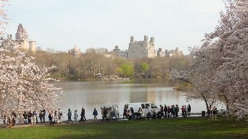 Central Park — New York 2010