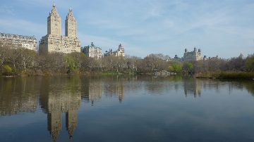 Central Park — New York 2010