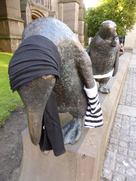 Penguin with clothes