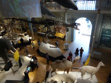 Main museum