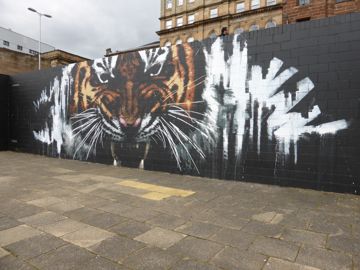 Tiger street art