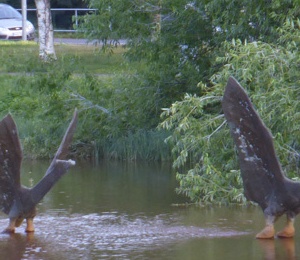 3 statues of bird on the river