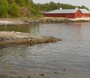 Coast of the island