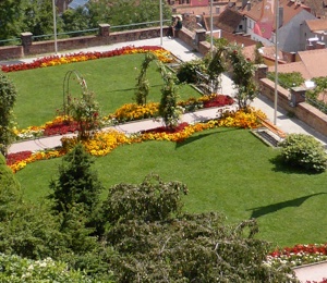 Garden at the top of the hill