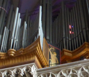 Organ of the cathedral