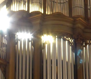 Organ of church