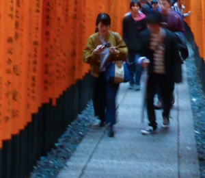 Tori in Fushimi Inari-taisha