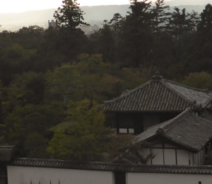 View top of the shinto sanctuar