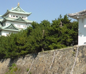 Castle of nagoya