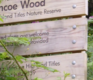 Glencoe wood